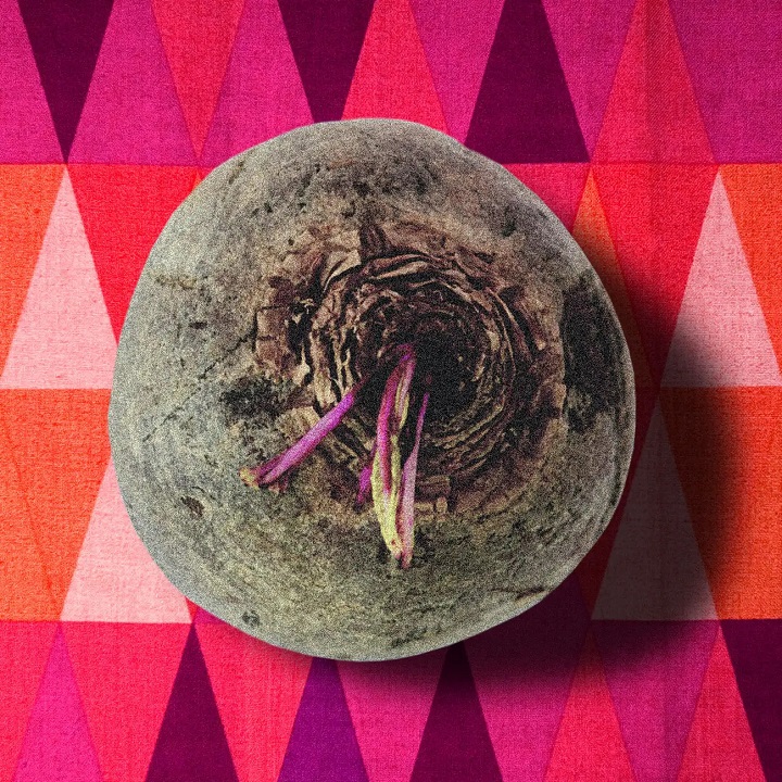 Food, Beets, History, Beetroot, Recipe, Gastronomy, Jewish History, Jewish cuisine, Jewish food, Orge Castellano, writer, journalist