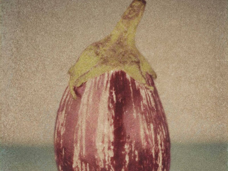 Eggplant From Stigma to Staple